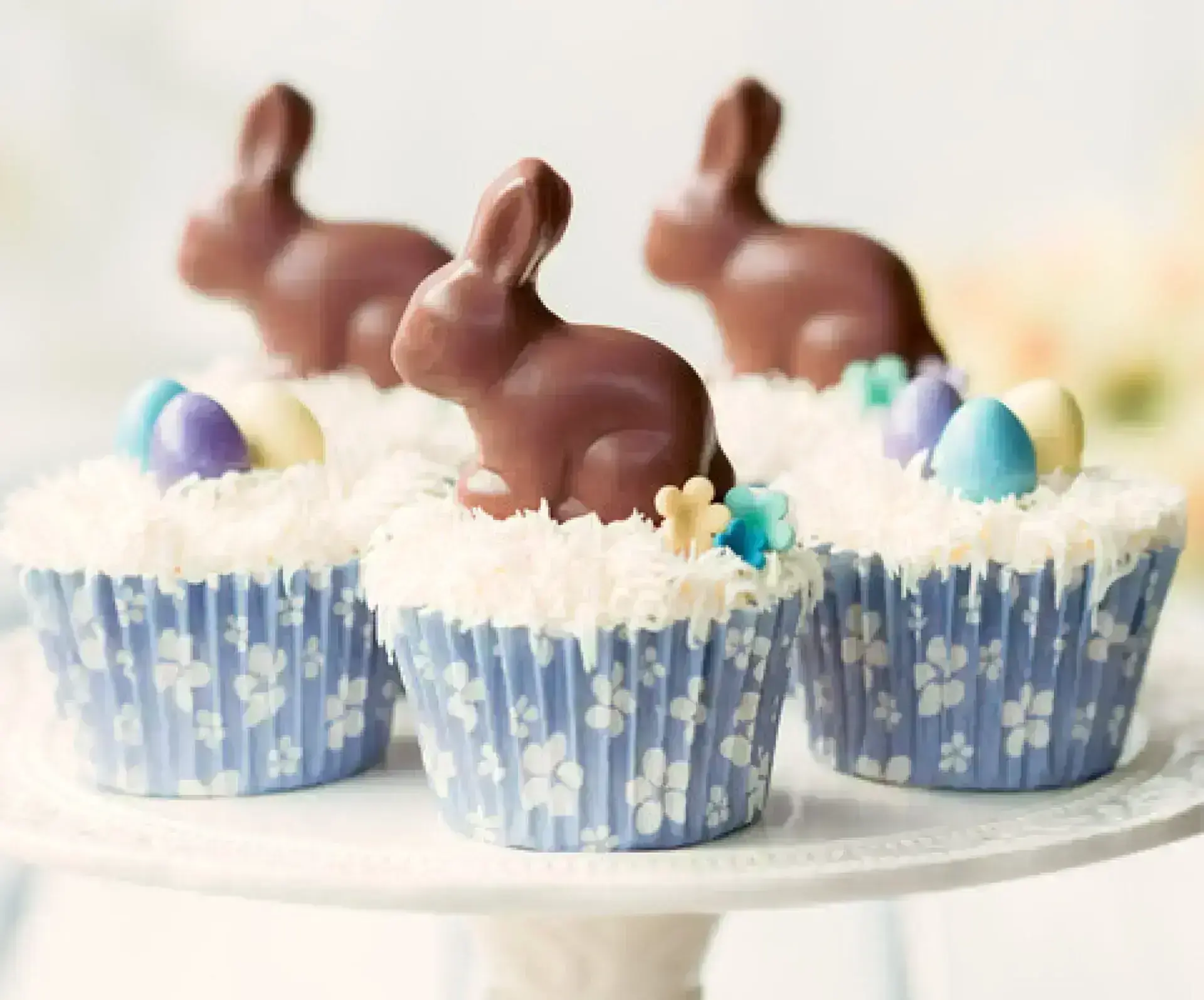 Petits gâteaux au chocolat avec le lapin de Pâques in Ottawa